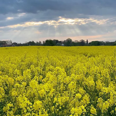 St Andrews Erdgeschoss